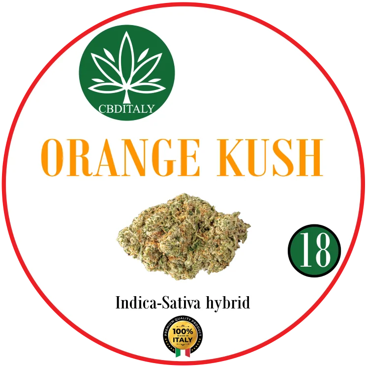 CBDITALY Orange Kush CBD 18% Indica-Sativa hibrīda kaņepju ziedu pumpurs, 100% Itālija
