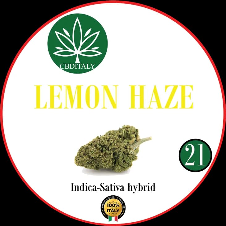 LEMON HAZE CBD 21%