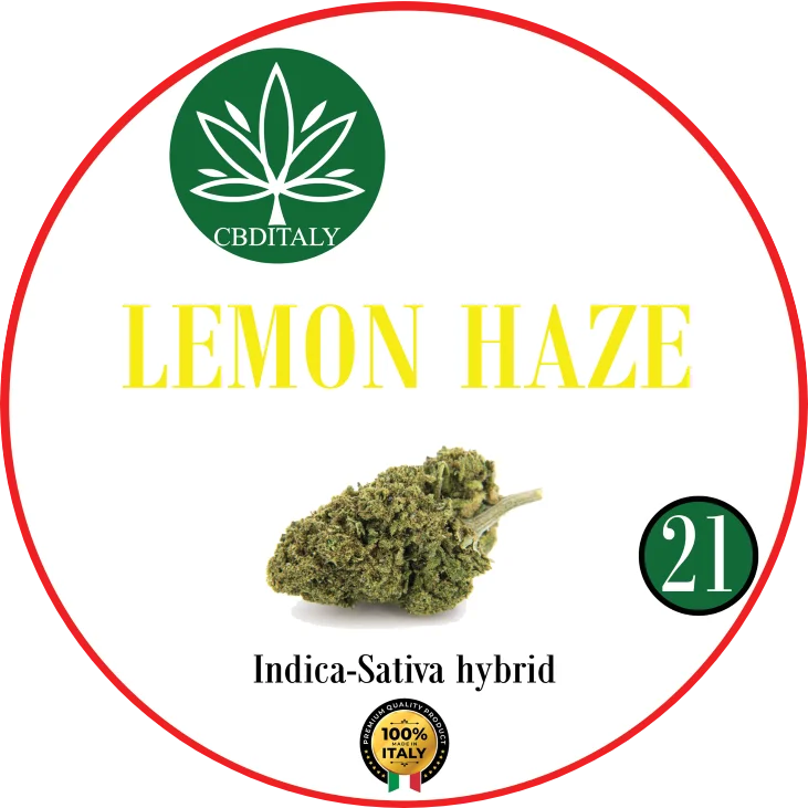 CBDITALY Lemon Haze CBD 21% Indica-Sativa hibrīda kaņepju zieds, ražots Itālijā
