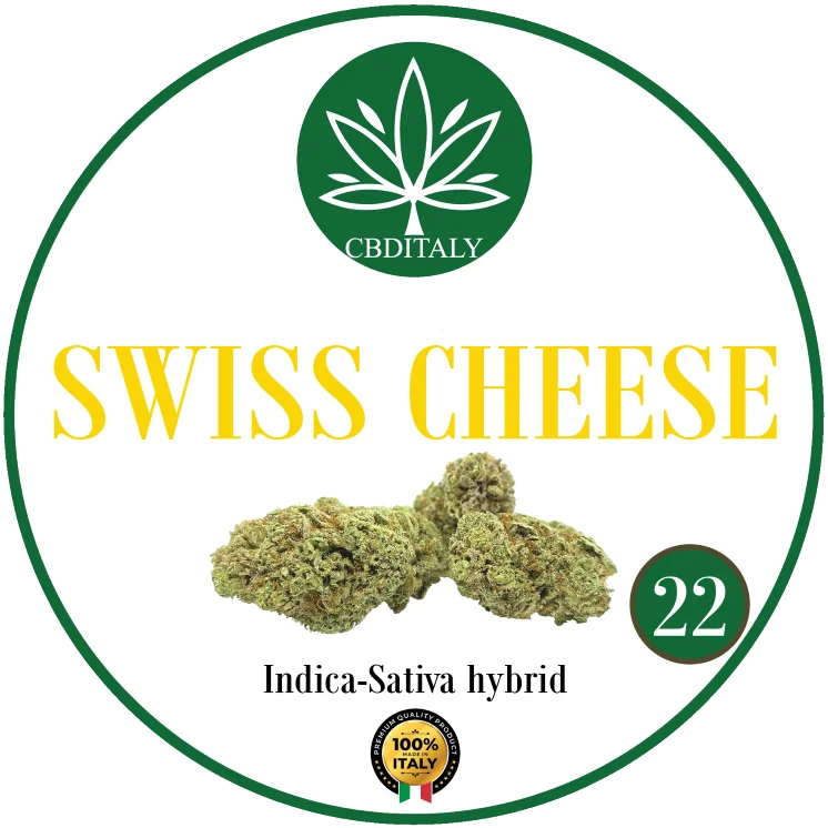 CBDITALY Swiss Cheese CBD 22% Indica-Sativa hibrīda kaņepju ziedu pumpurs, 100% Itālija