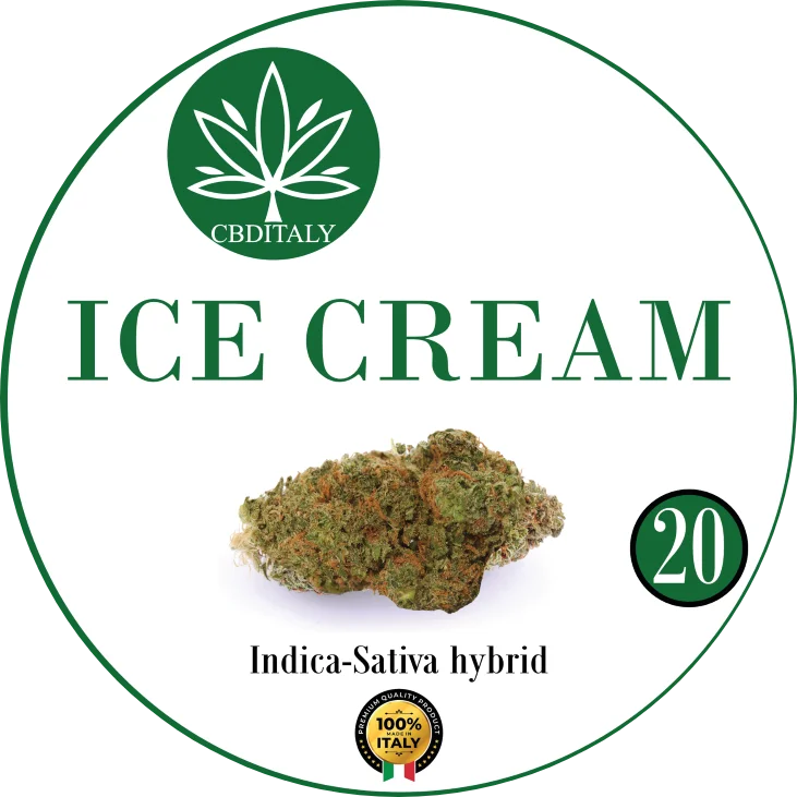CBDITALY Ice Cream CBD 20% Indica-Sativa hibrīda kaņepju ziedu pumpurs, 100% Itālija