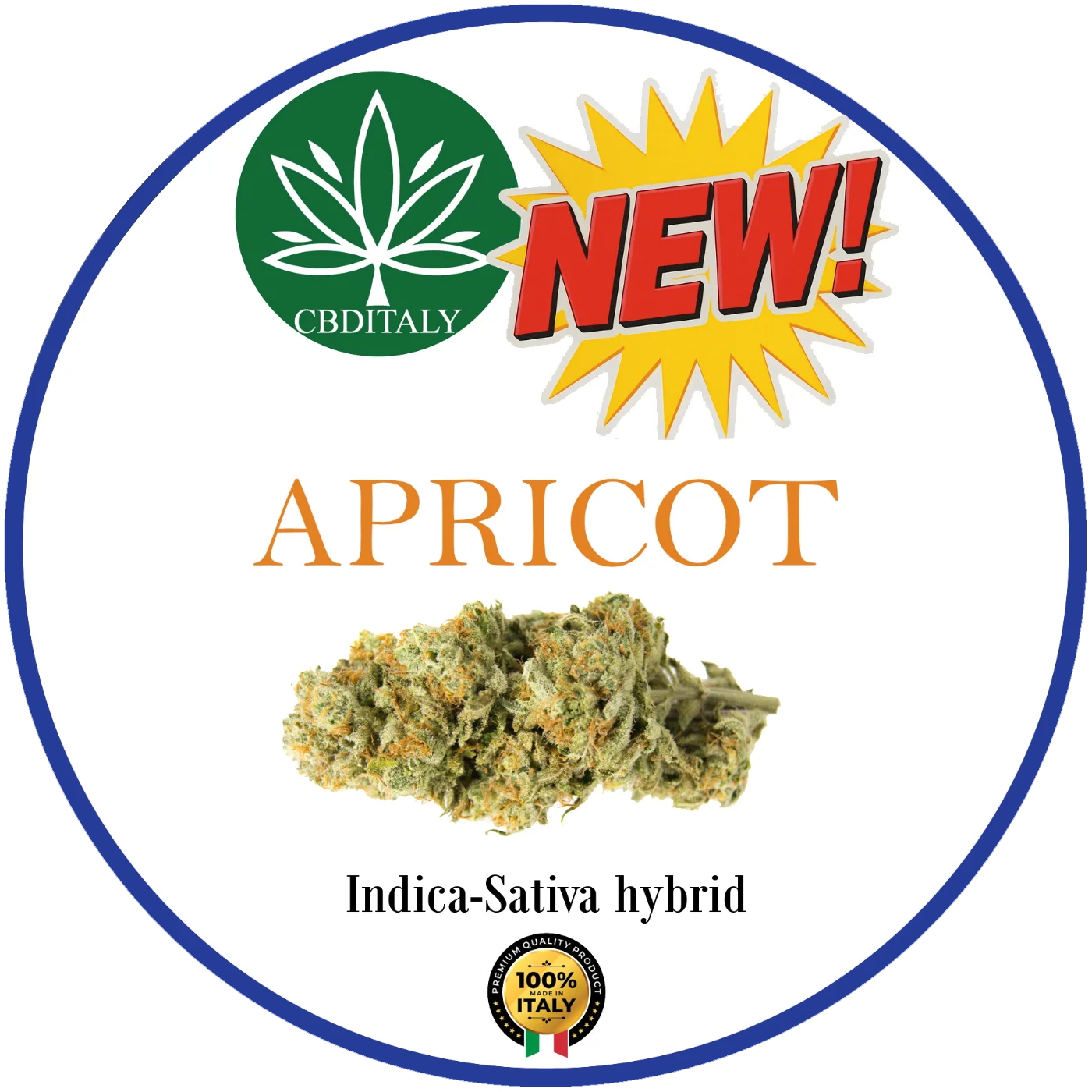 CBDITALY Apricot CBD 21% jaunais Indica-Sativa hibrīda kaņepju zieds, ražots Itālijā