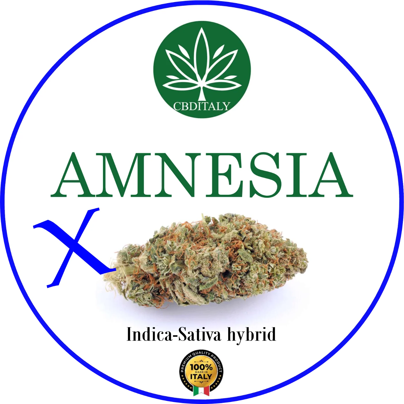 CBDITALY Amnesia CBD – iegarens Indica-Sativa hibrīda kaņepju zieds ar dzintara matiņiem, 100% ražots Itālijā