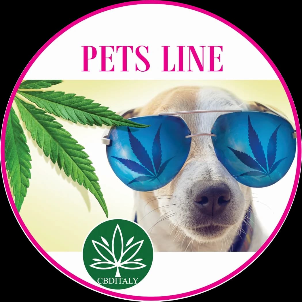 CBD-CBDA RAW pilna spektra lašu eļļa 6%, PETS LINE