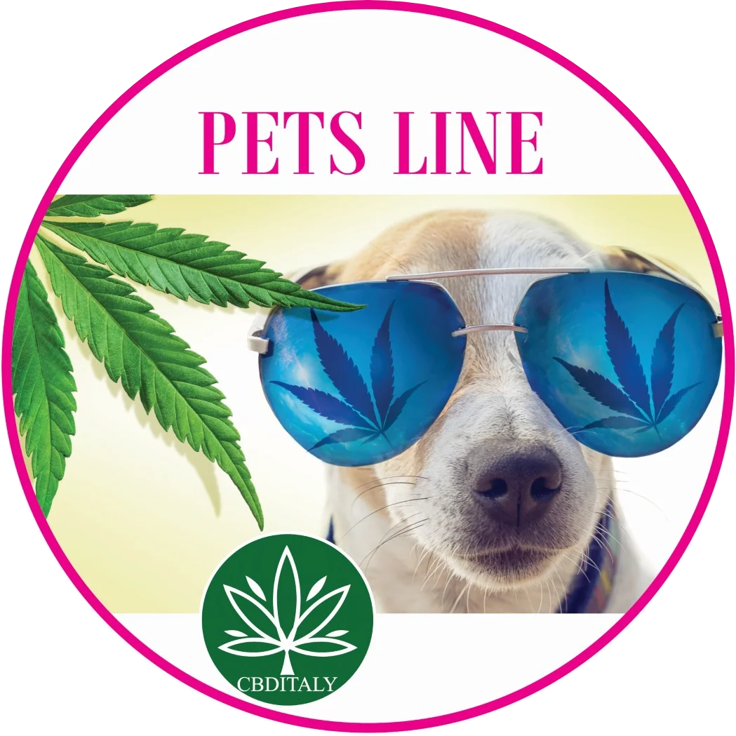 CBDITALY Pets Line kategorija – suns saulesbrillēs ar kaņepju lapu, CBD wellness uztura bagātinātāji mājdzīvniekiem