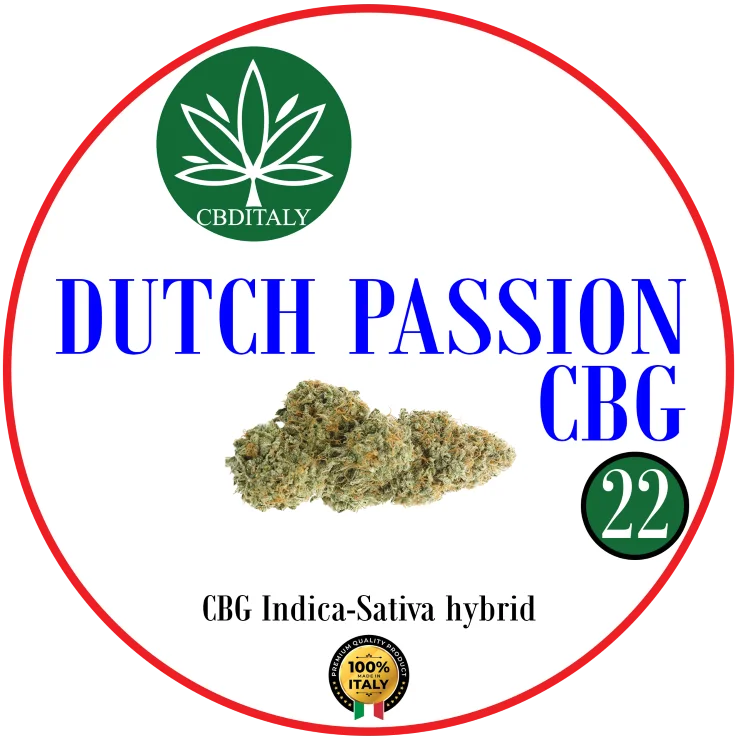 CBDITALY Dutch Passion CBG 22% Indica-Sativa hibrīda kaņepju ziedu pumpurs, 100% Itālija
